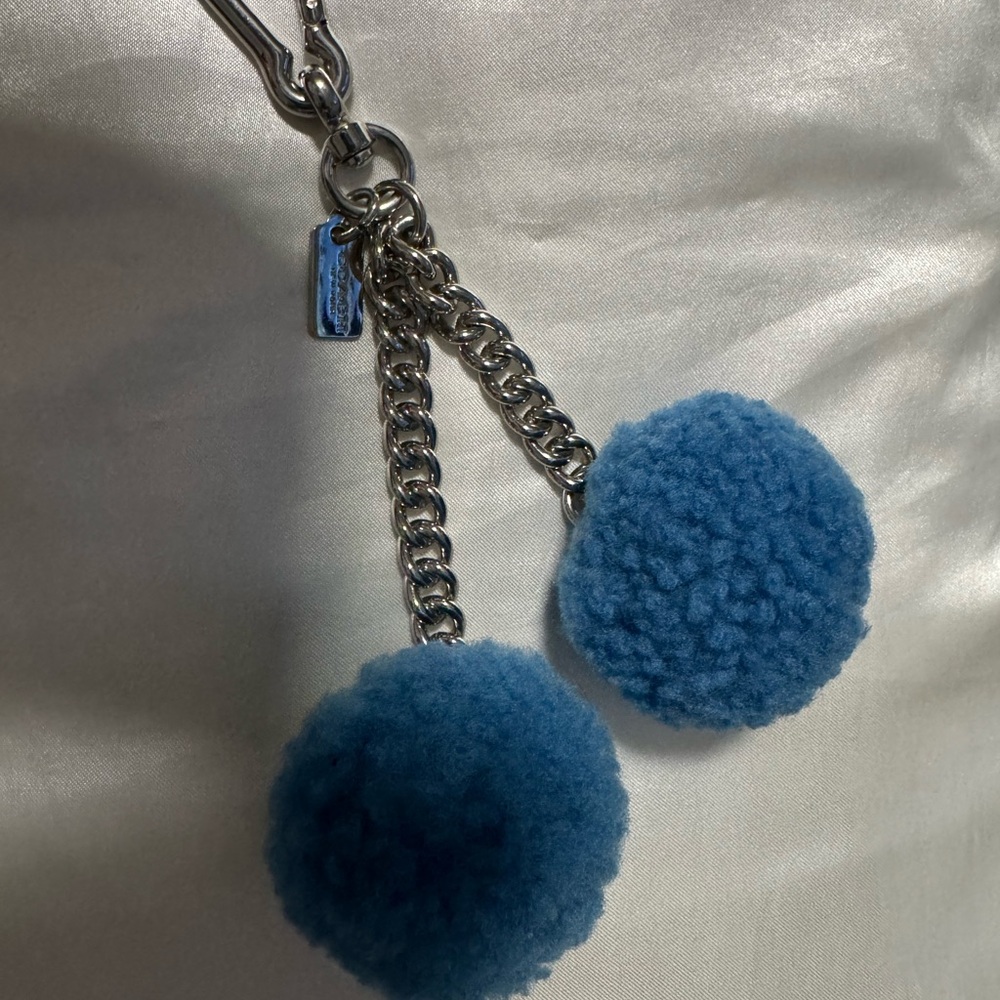 Coach Charm